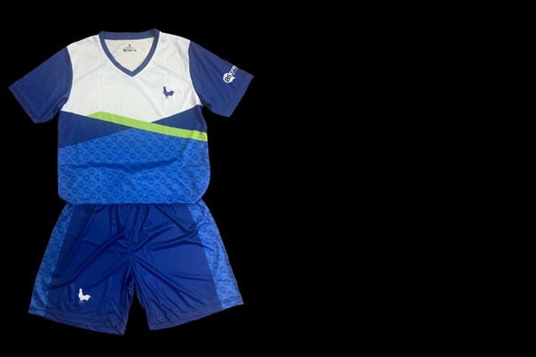 Teamshirt V-hals Micro Eigen ontwerp